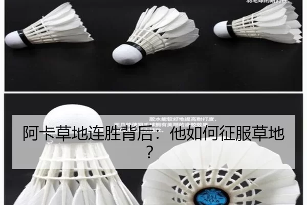阿卡草地连胜背后：他如何征服草地？